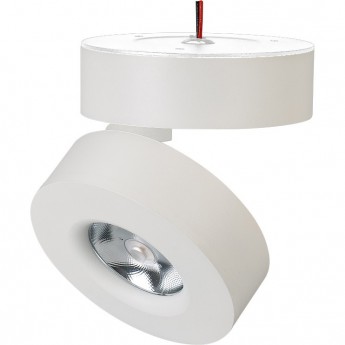 Светильник ARLIGHT SP-MONA-SURFACE-R100-12W Day4000 (WH, 24 deg) (Arlight, IP40 Металл, 3 года) Светильник ARLIGHT SP-MONA-SURFACE-R100-12W Day4000 (WH, 24 deg) (Arlight, IP40 Металл, 3 года)